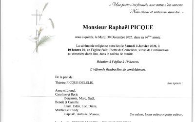 Monsieur Raphaël PICQUE
